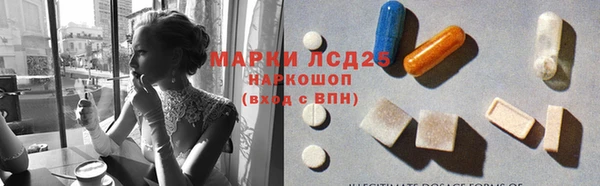 эйфоретик Алзамай