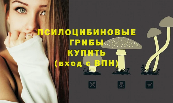 прущие грибы Алексин