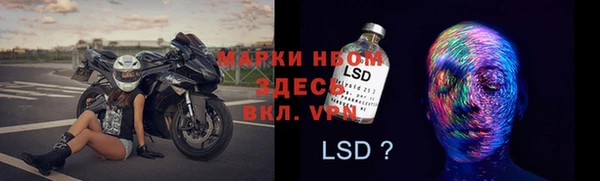 эйфоретик Алзамай