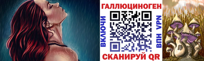 darknet Telegram  купить наркоту  Петровск  Псилоцибиновые грибы ЛСД 
