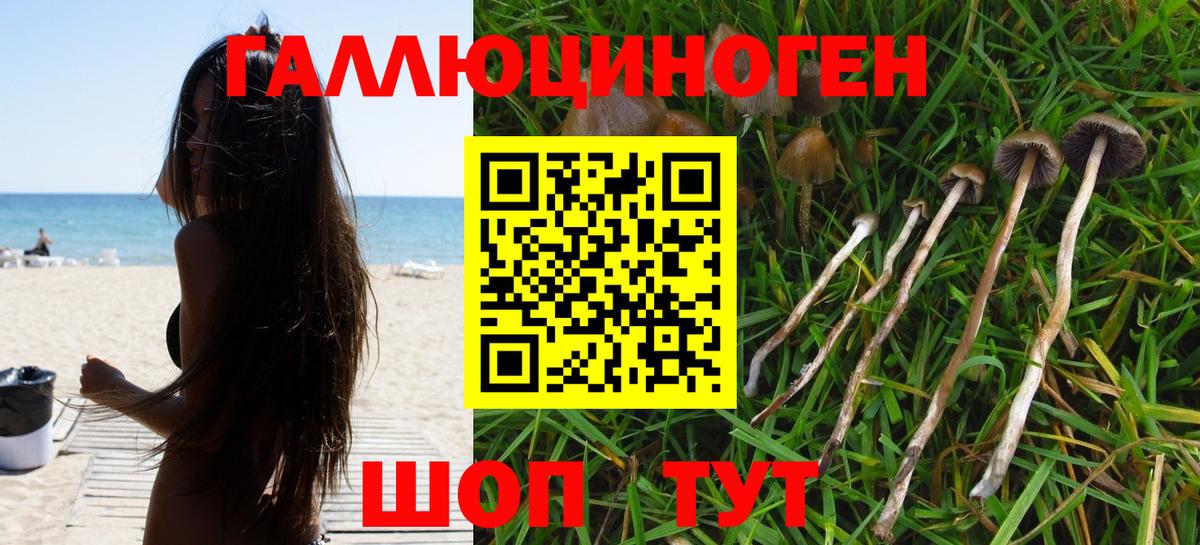 Галлюциногенные грибы Psilocybe  Вход с VPN  Петровск 